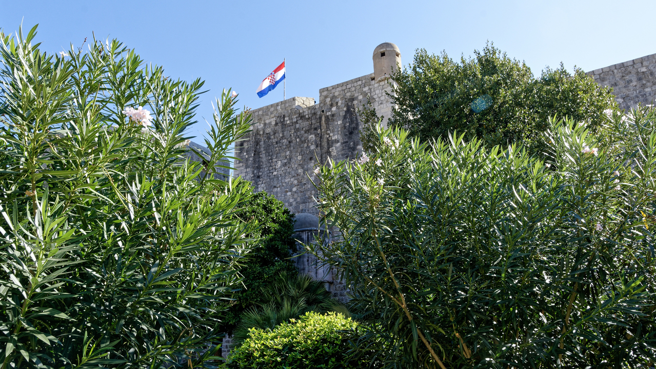 20191021 110734•Dubrovnik•Dubrovacko-Neretvanska•Croatia